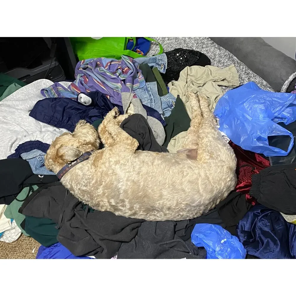 Warner Brothers Studio Store WB Athletic Department Sweatshirt Jacket Mens XL - Picture 10 of 10